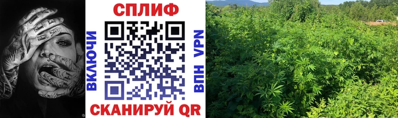 Названия наркотиков Грозный КЕТАМИН  Меф  ГАШИШ  Конопля  Alpha PVP 