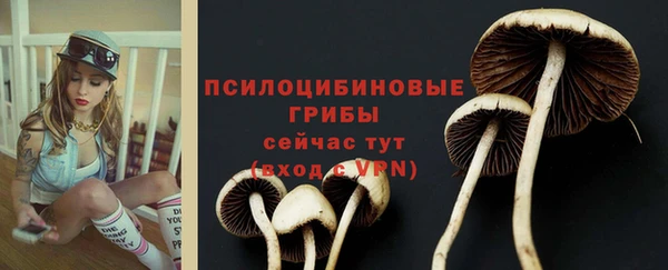 марихуана Новозыбков