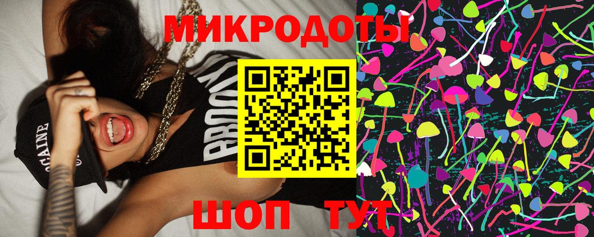 Галлюциногенные грибы Cubensis Грозный