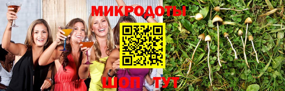 Грозный  Псилоцибиновые грибы ЛСД  Псилоцибиновые грибы MAGIC MUSHROOMS  Вход с VPN 