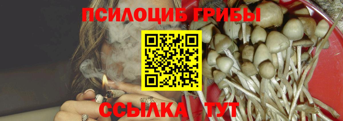 Галлюциногенные грибы прущие грибы Грозный
