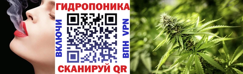 shop формула Грозный Канабис SATIVA & INDICA